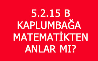 5.2.15 B KAPLUMBAĞA MATEMATİKTEN ANLAR MI?