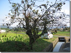 IMG_6762