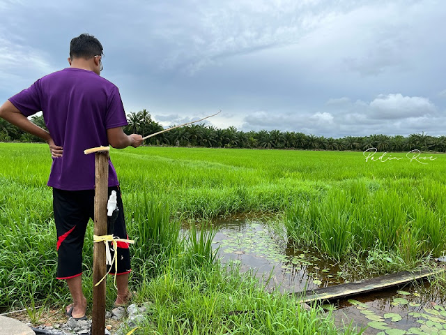 desastay santai d sawah