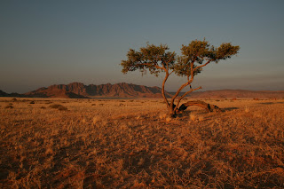 Sesriem/Sossusvlei scenery