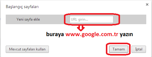 google ana sayfa yap