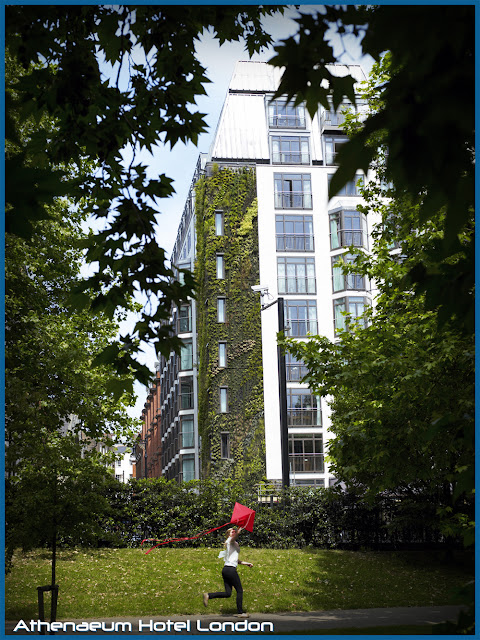 The Plant Wall Hotel; Athenaeum Hotel London The Plant Wall Hotel Athenaeum Hotel London GARDEN