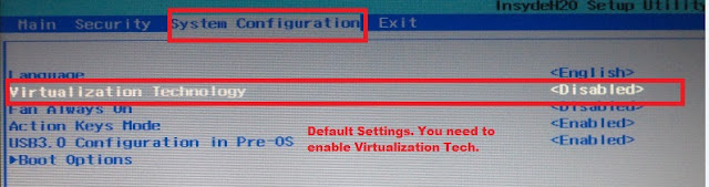 Default Virtualization Settings