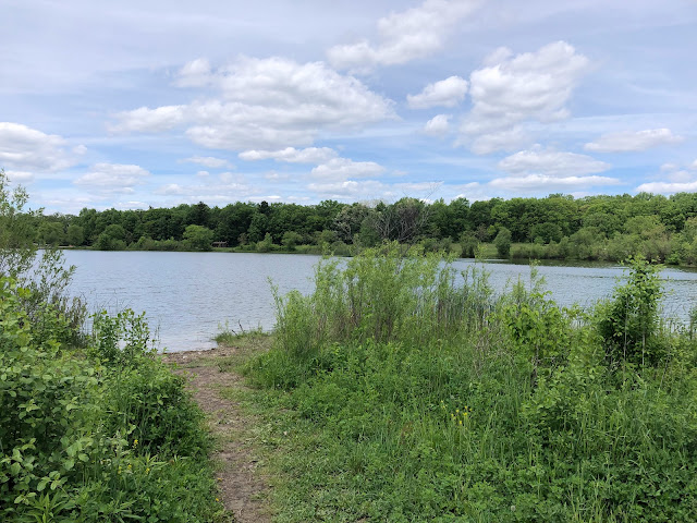 The lake at Wood Dale Grove was a focal point of activity during our visit.