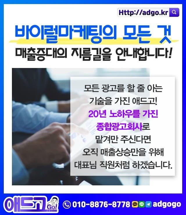 제주시추분양