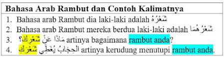 Bahasa Arab Rambut dan Contoh Kalimatnya