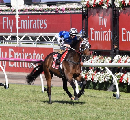 emirates stakes_tosen stardom 1