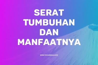  Apa itu serat tumbuhan dan apa manfaatnya 2021+ Serat Tumbuhan dan Manfaatnya