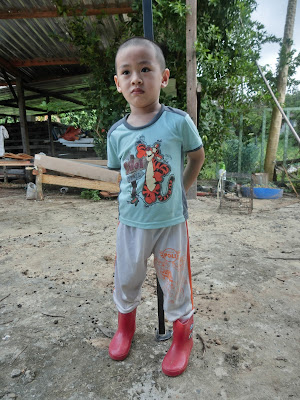 Ajar anak berkebun tanam pokok kelapa mudah dan cepat