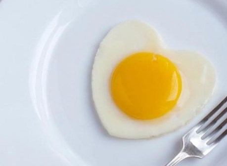 essential amino acids are contained in eggs