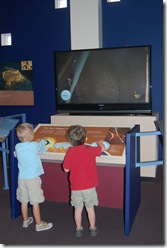 Natural History Museum 2011 030