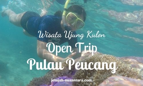 paket wisata open trip pulau peucang ujung kulon