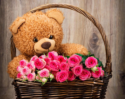 teddy-with-nice-roses-pictures