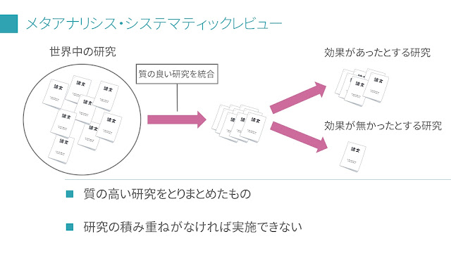 メタアナリシス　システマティックレビュー　画像　栄養