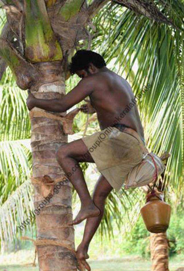 Making Of Toddy, Kerala Special 3