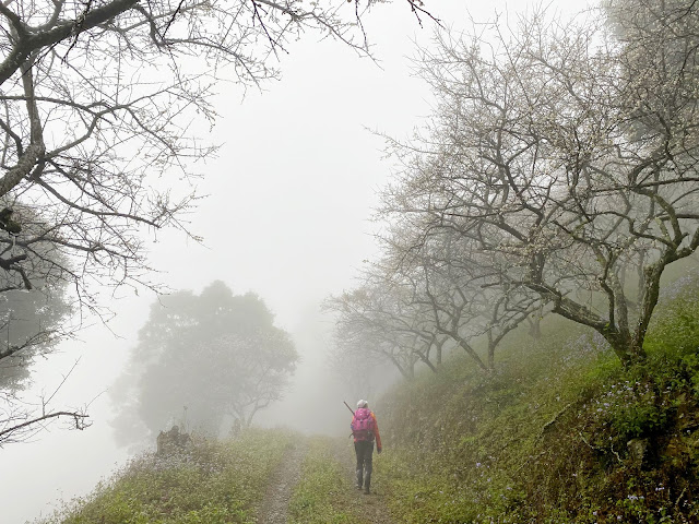 往玉穗山