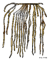 inca_quipu