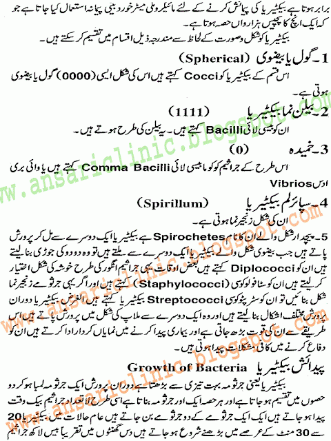  name of bacteria diseases in urdu languge, what is bacteria, name of bacteria diseases in urdu language