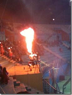 Var 2011 (298)