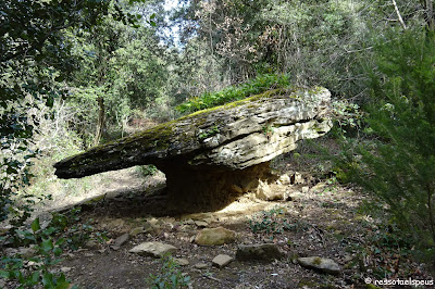 El volcà de la Banya del Boc i Rocacorba des de la vall de Llémena