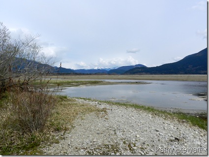 log bay