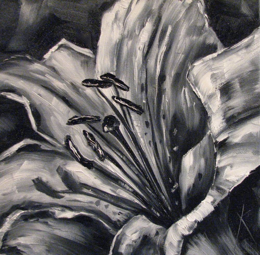 black and white pictures of lilies