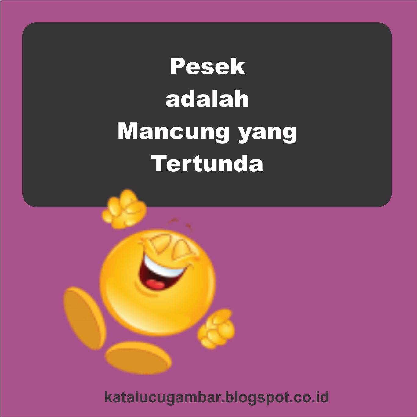 Gambar Kata Lucu Hidung Pesek DP BBM Lucu Untuk Hari Ini