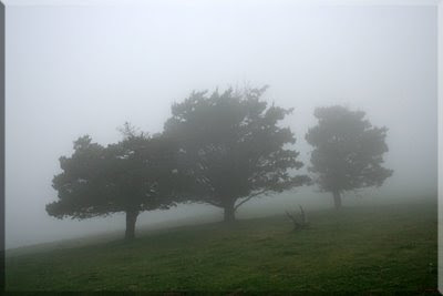 La niebla, protagonista de la marcha.