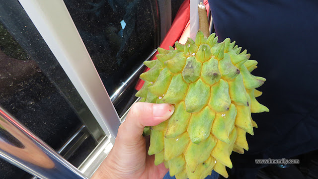 LKE Green Tech Farm Visit @ Kampung Manchis, Bentong