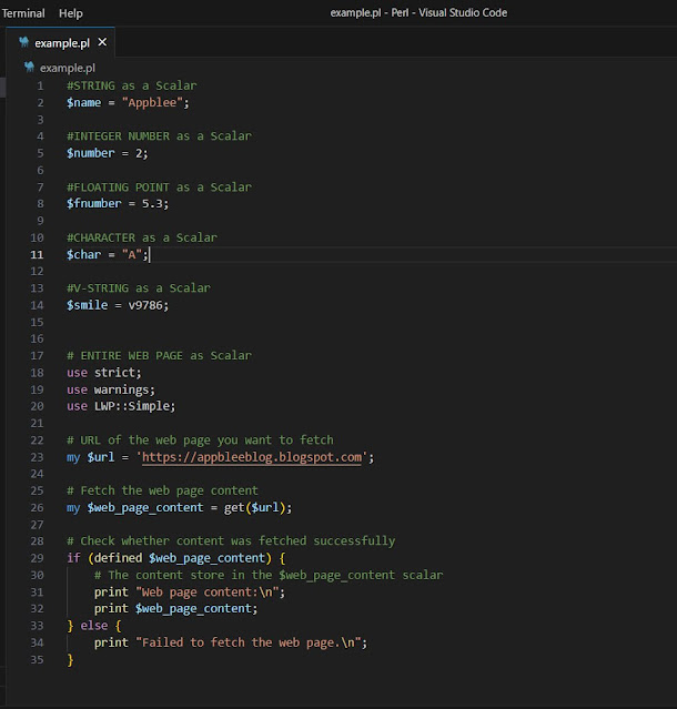 examples for scalar types in Perl