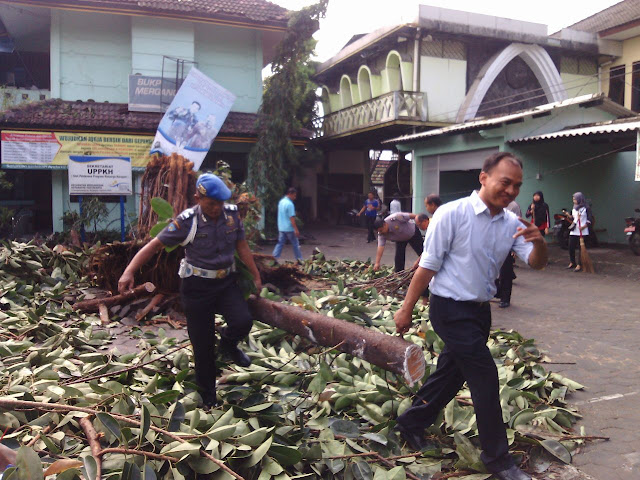 Polsek Mergangsan Evakuasi Pohon Tumbang Di Wilayah Mergangsan