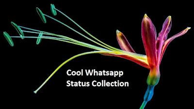 Cool Whatsapp Status