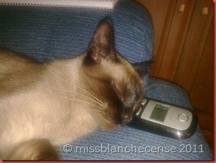 Imagem293
