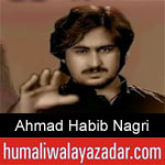 https://www.humaliwalayazadar.com/2019/09/ahmad-habib-nagri-nohay-2020.html