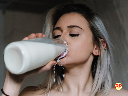 Harga Jual Susu Kambing Etawa Segar dan Bubuk di Pasaran