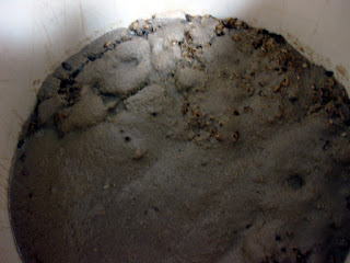 Protein goo left on the surface of the mash after the first sparge.