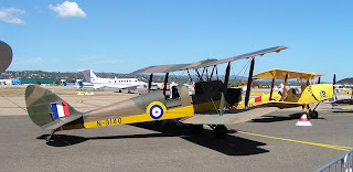 Tiger Moths