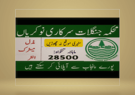 New Govt Jobs New Today In Forest Department Punjab Jobs 2022 March Advertisements Apply Online