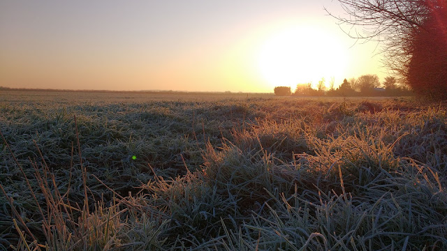 Cold frosty winter mornings in Norfolk countryside