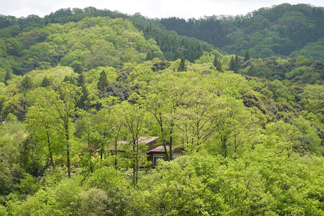 鳥取県西伯郡南部町下中谷 国道180号線からの眺望 レストハウス カフェド 穂のか