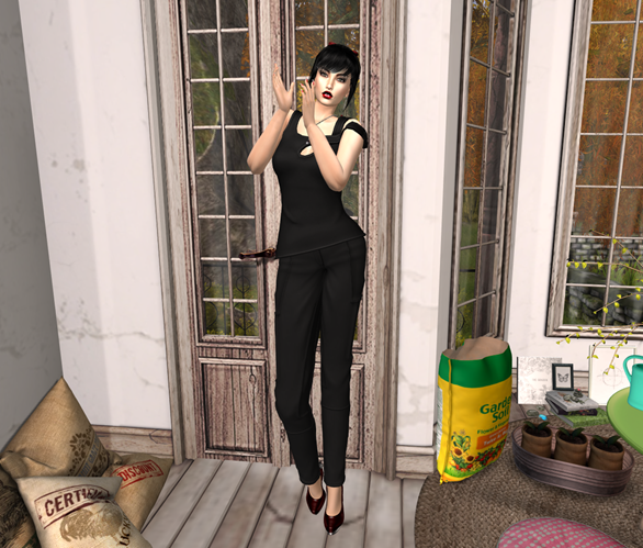 Snapshot_014