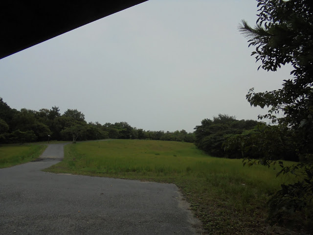 霧雨が降って来ました