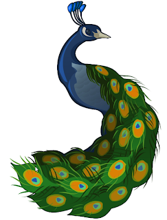 Illustrate a Peacock Inkscape Tutorial