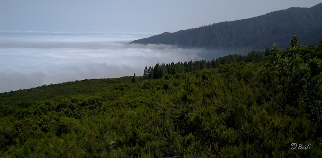 Mar de nubes. Tenerife. España.