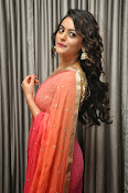 Shruti sodhi glamorous saree photos-thumbnail-13