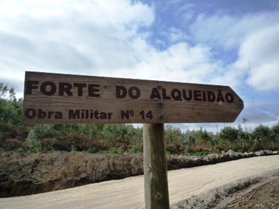 P1050996
