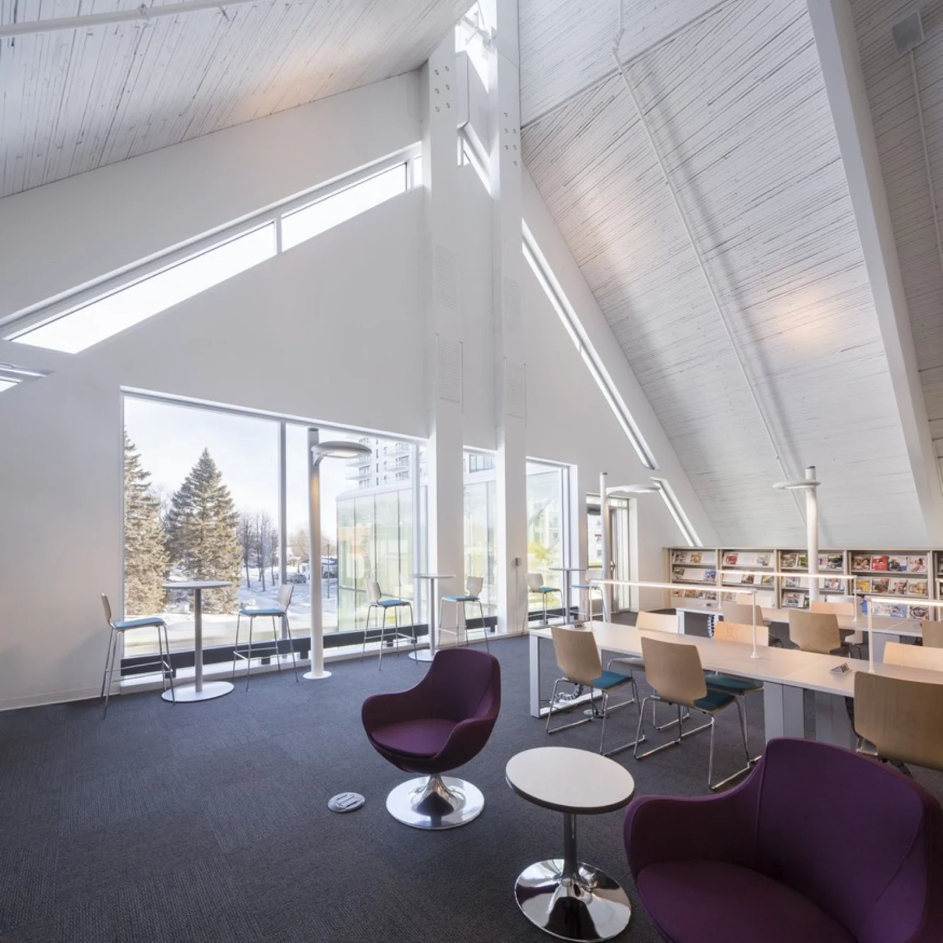 Monique Corriveau Library by Dan Hanganu and Clc