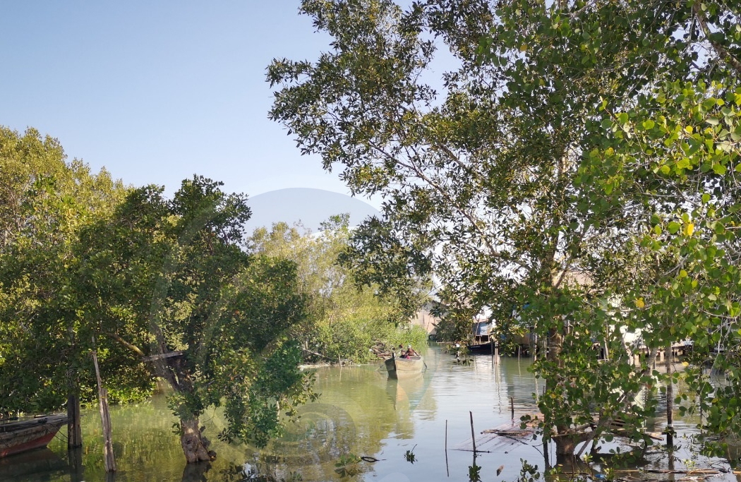 UMRAH Kepri dan BRGM RI akan Bangun Wisata Mangrove di Pulau Bintan