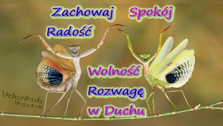 Zachowaj spokój w Duchu