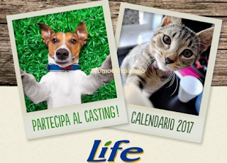 Logo Club Amici di Life: partecipa al Pet casting per calendario e ricevi buoni sconto